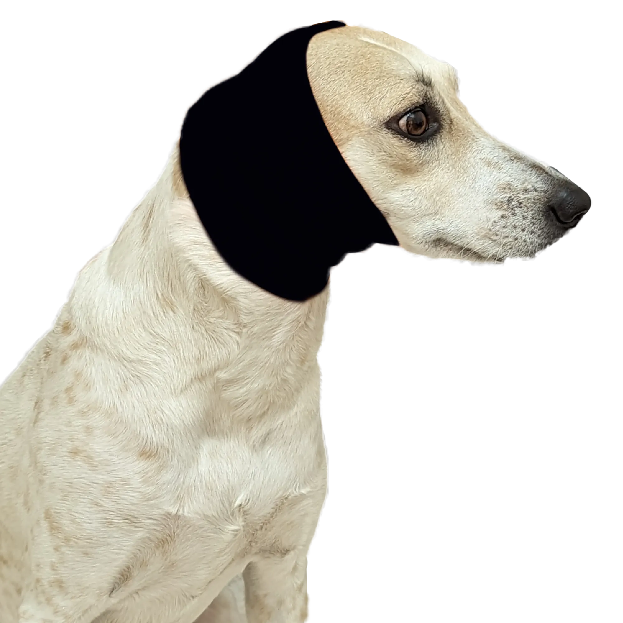 Black Ear Muff For Cats & Dogs