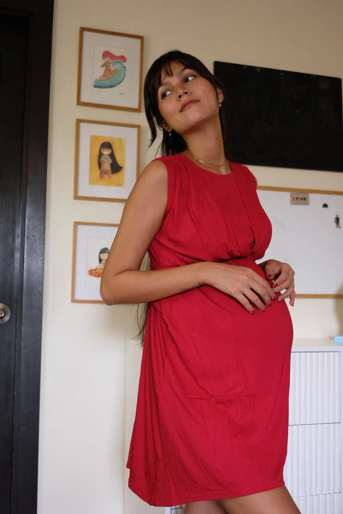 Eleana Nursing Dress