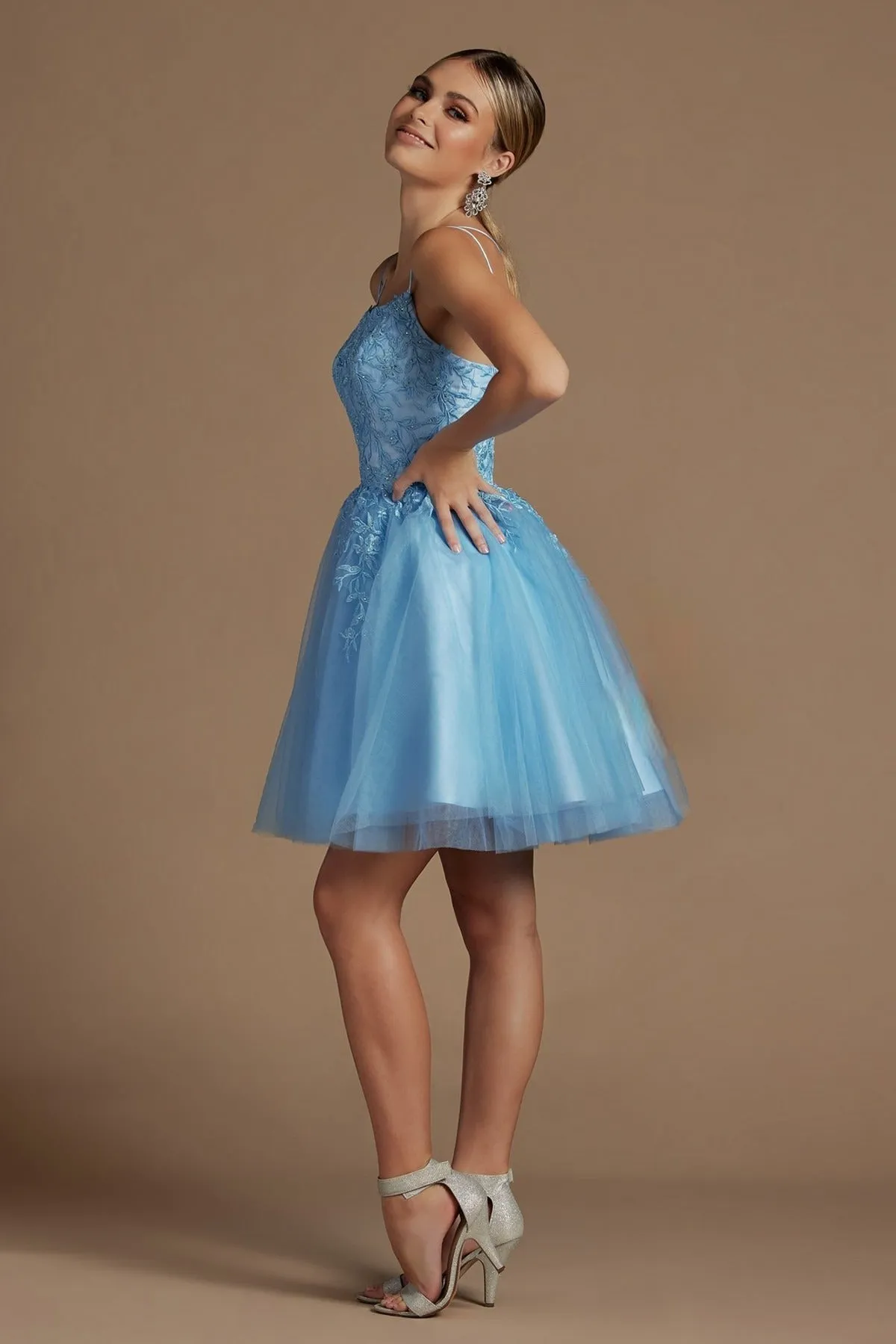 Embroidered Babydoll Corset Short Dress for Homecoming & Cocktail