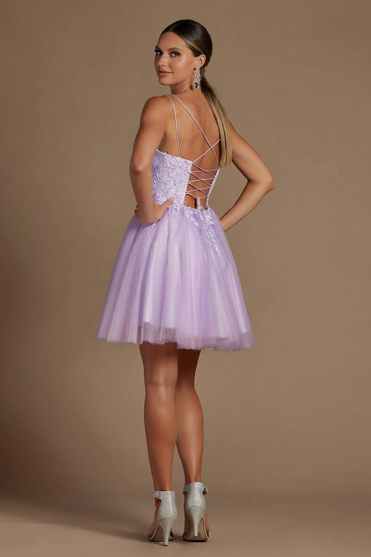 Embroidered Babydoll Corset Short Dress for Homecoming & Cocktail