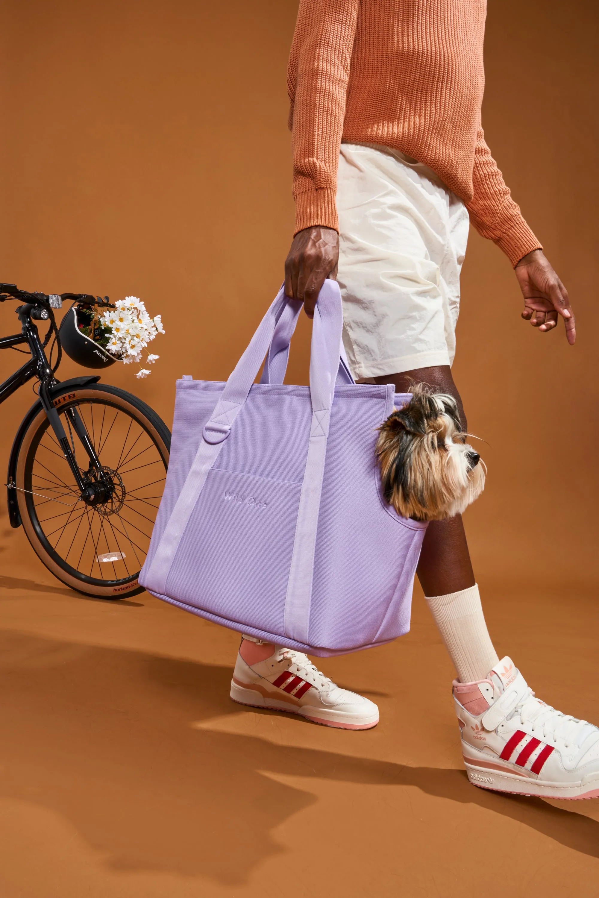 Everyday Carrier