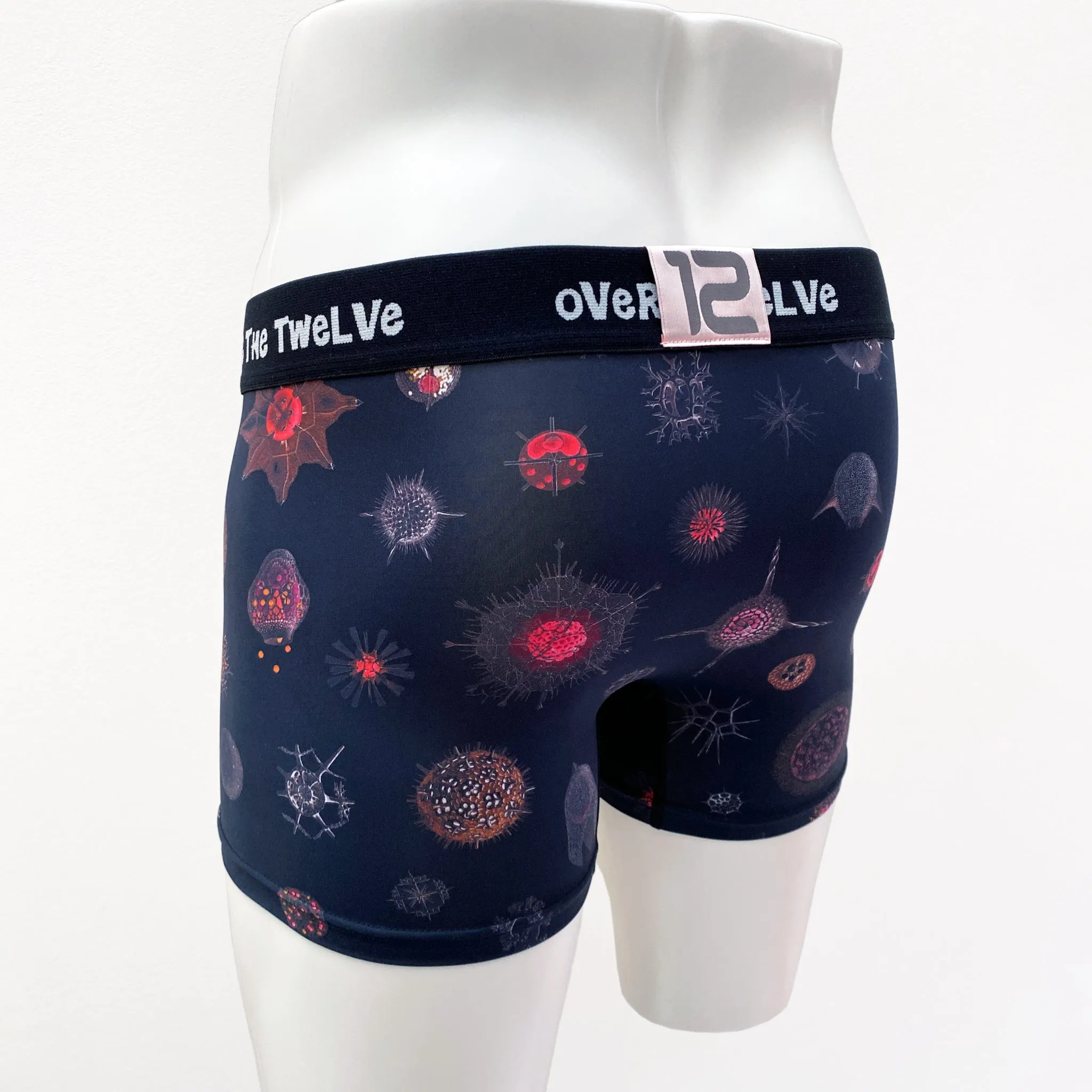 MICROPALEONTOLOGY COSMO (21-11)