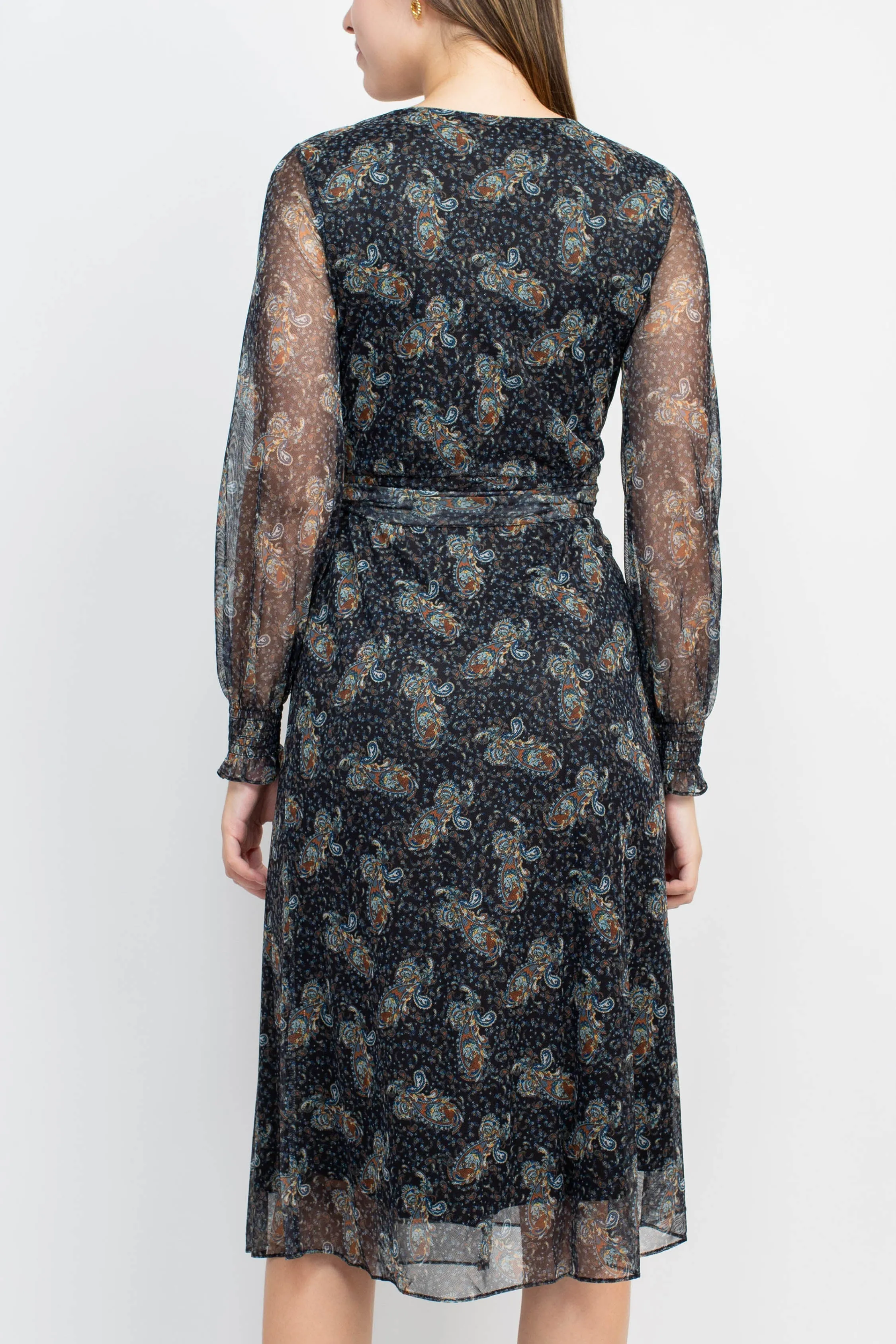 Sage Collective V-Neck Long Sleeve Tie Waist Paisley Print Power Mesh Dress