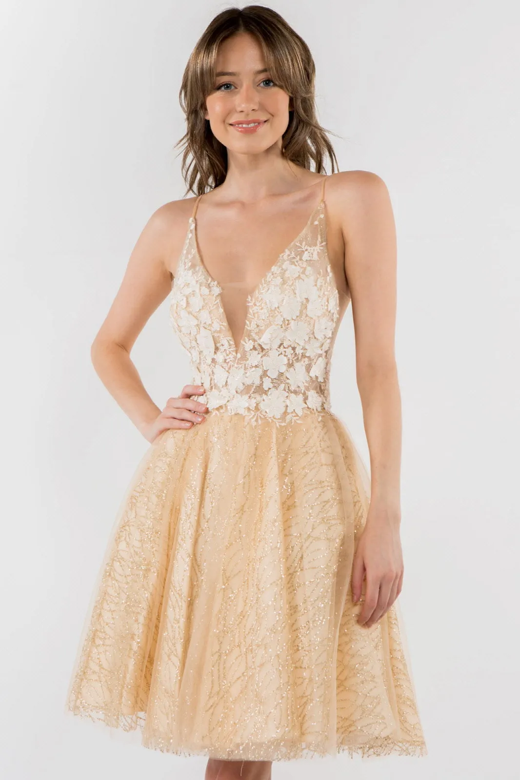 Sheer Bodice V-Neck Glitter Mesh Homecoming Dress GLGS1979