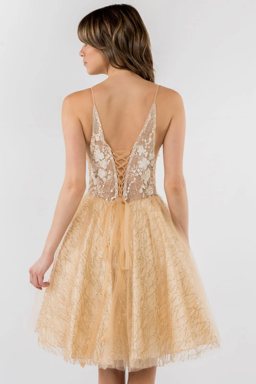 Sheer Bodice V-Neck Glitter Mesh Homecoming Dress GLGS1979