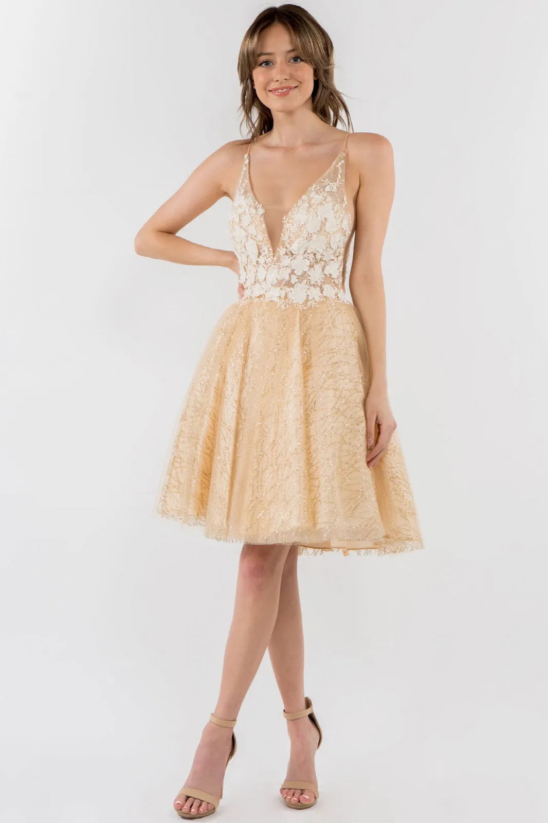 Sheer Bodice V-Neck Glitter Mesh Homecoming Dress GLGS1979