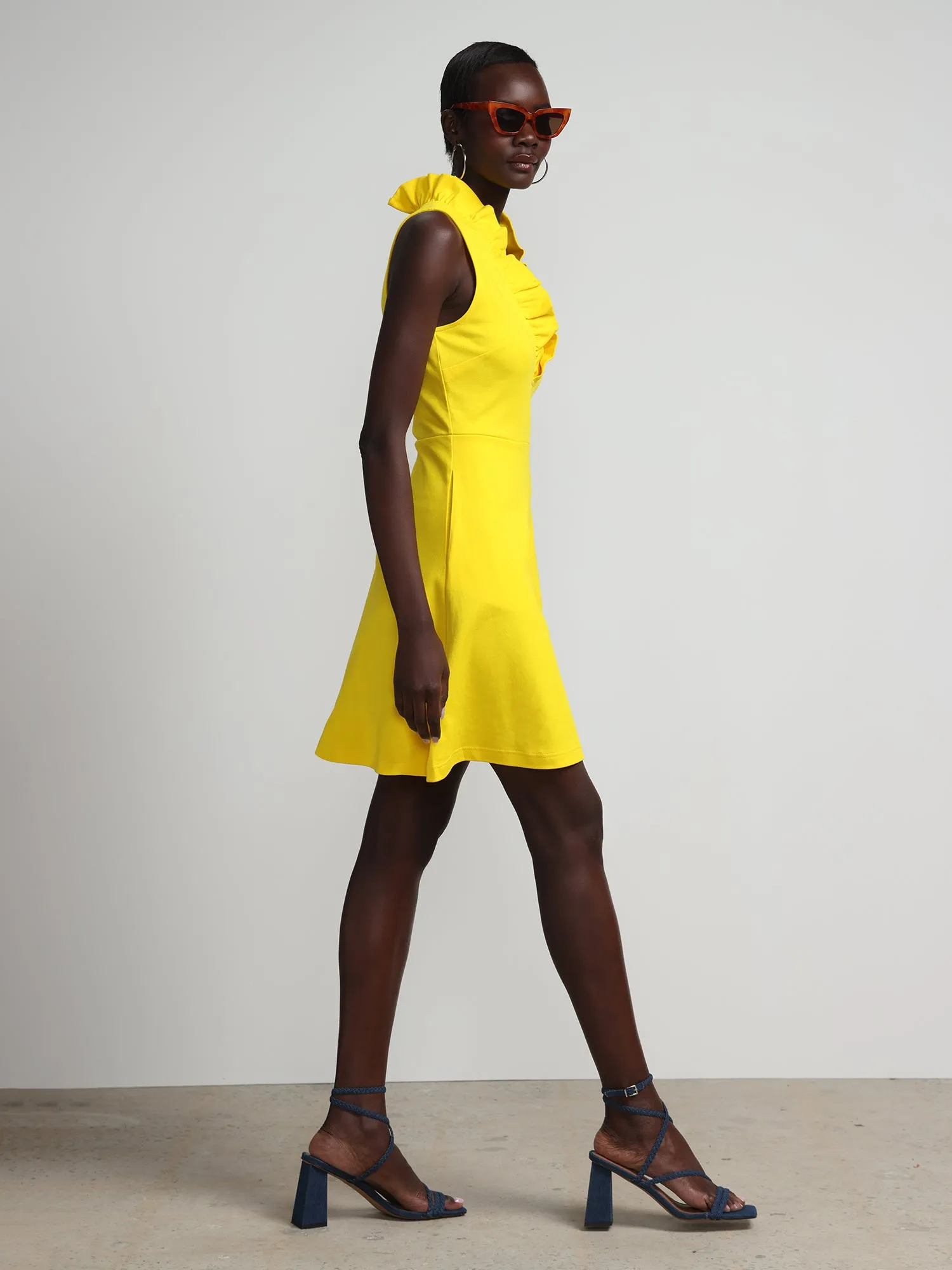 Sleeveless Ruffle-Neck Flare Dress - City Knits