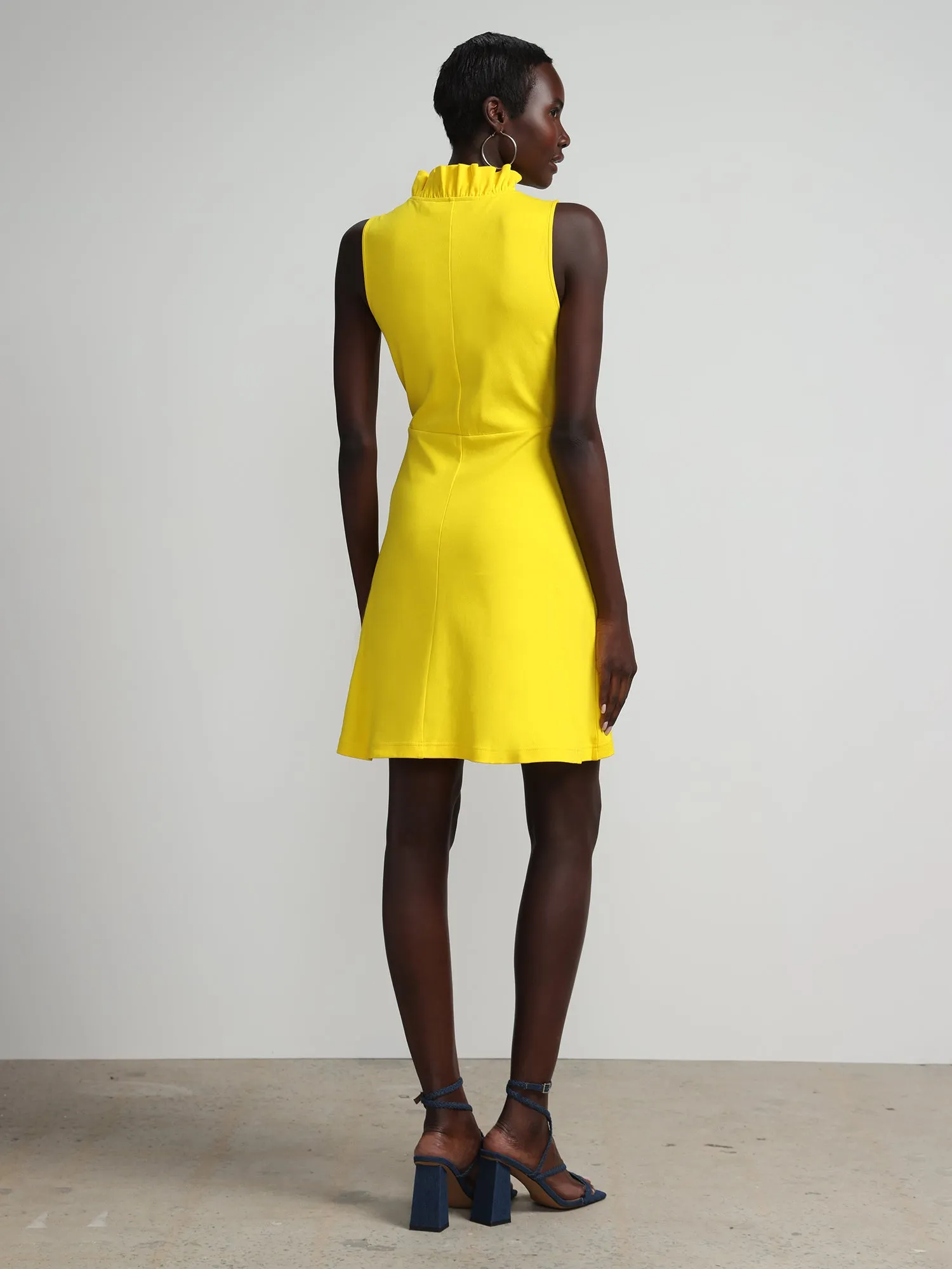 Sleeveless Ruffle-Neck Flare Dress - City Knits