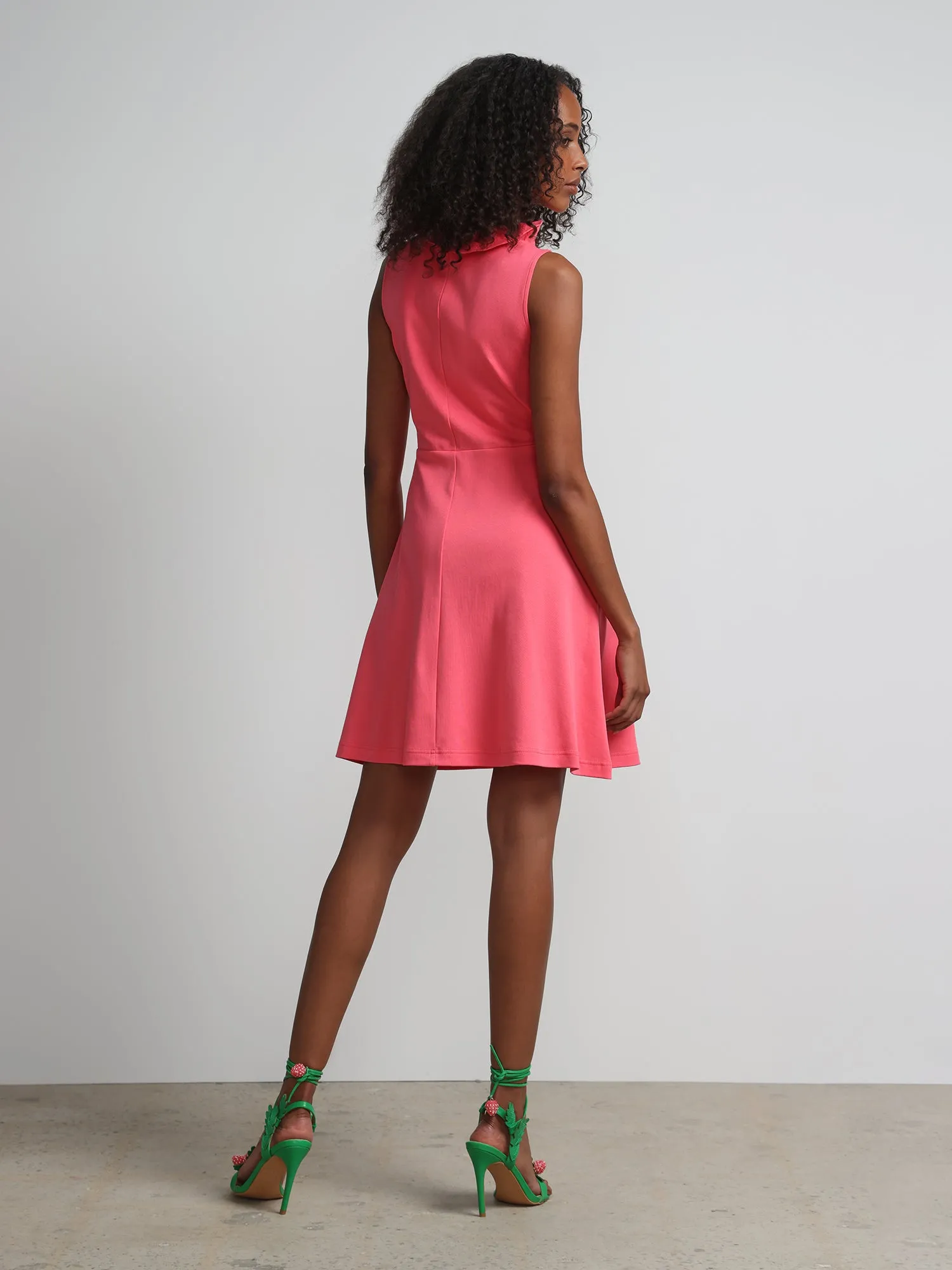 Sleeveless Ruffle-Neck Flare Dress - City Knits