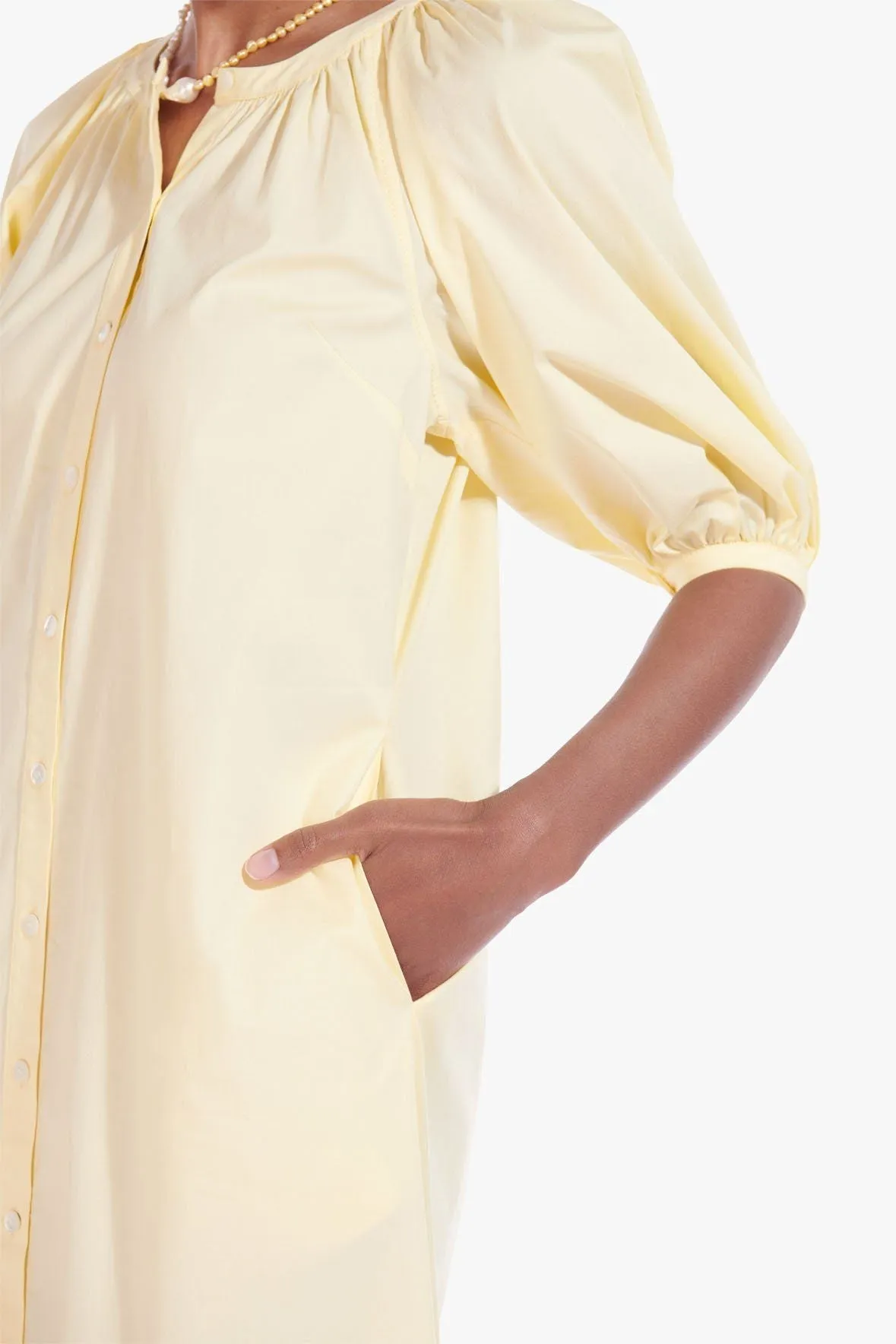 VINCENT DRESS | GINGER